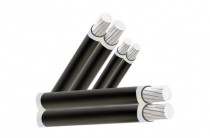  Cáp điện CXV-2x300 - 0.6/1kV