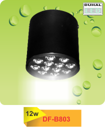 ĐÈN LED GẮN NỔI CHIẾU SÂU 12W DFB803